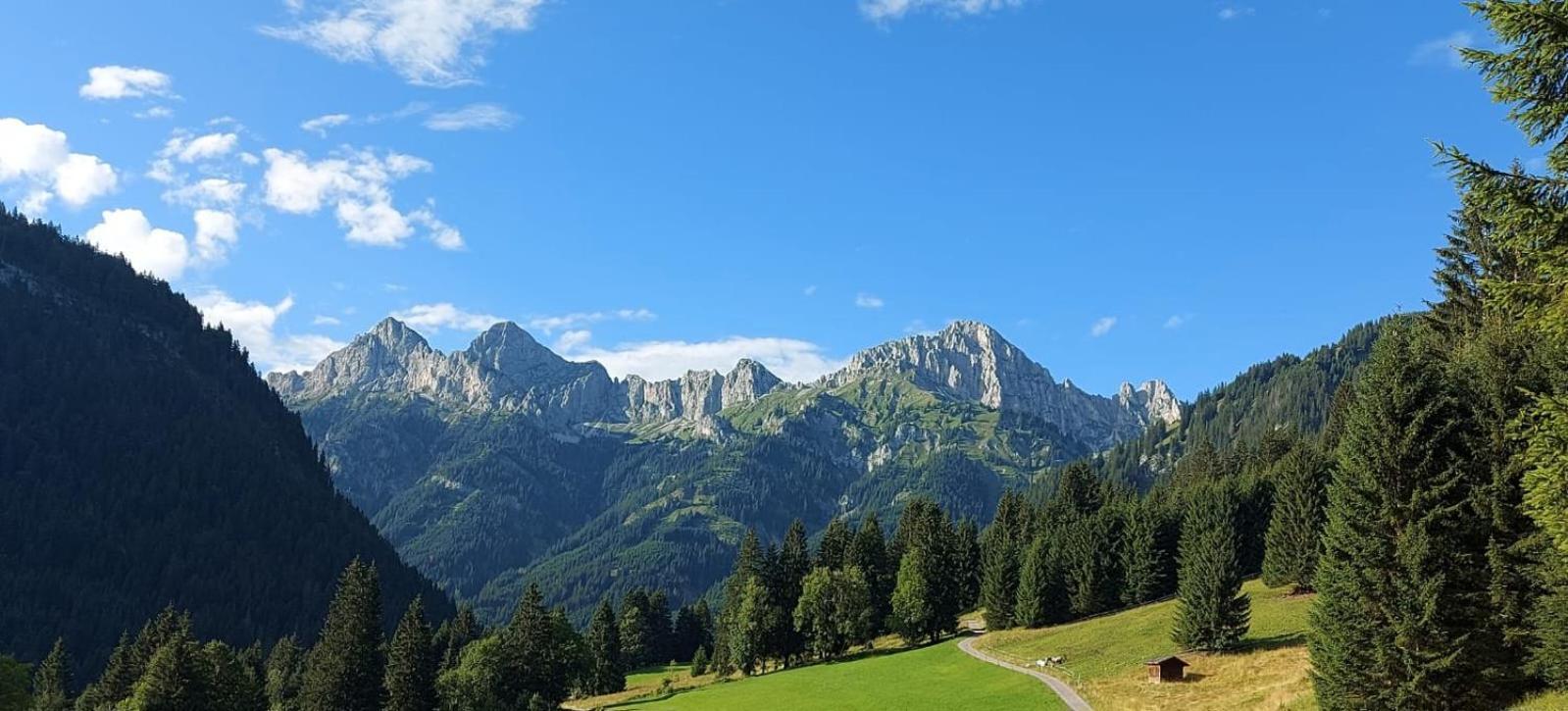 Ferienhaus Alpenglueck Gaicht エクステリア 写真